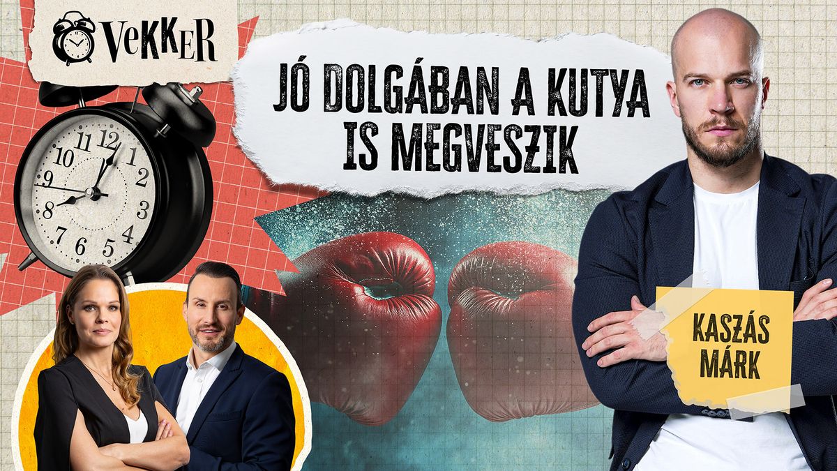Két front, egy szabály: NINCS KEGYELEM – a ringben harc, a közéletben bátorság | Kaszás Márk a Vekkerben