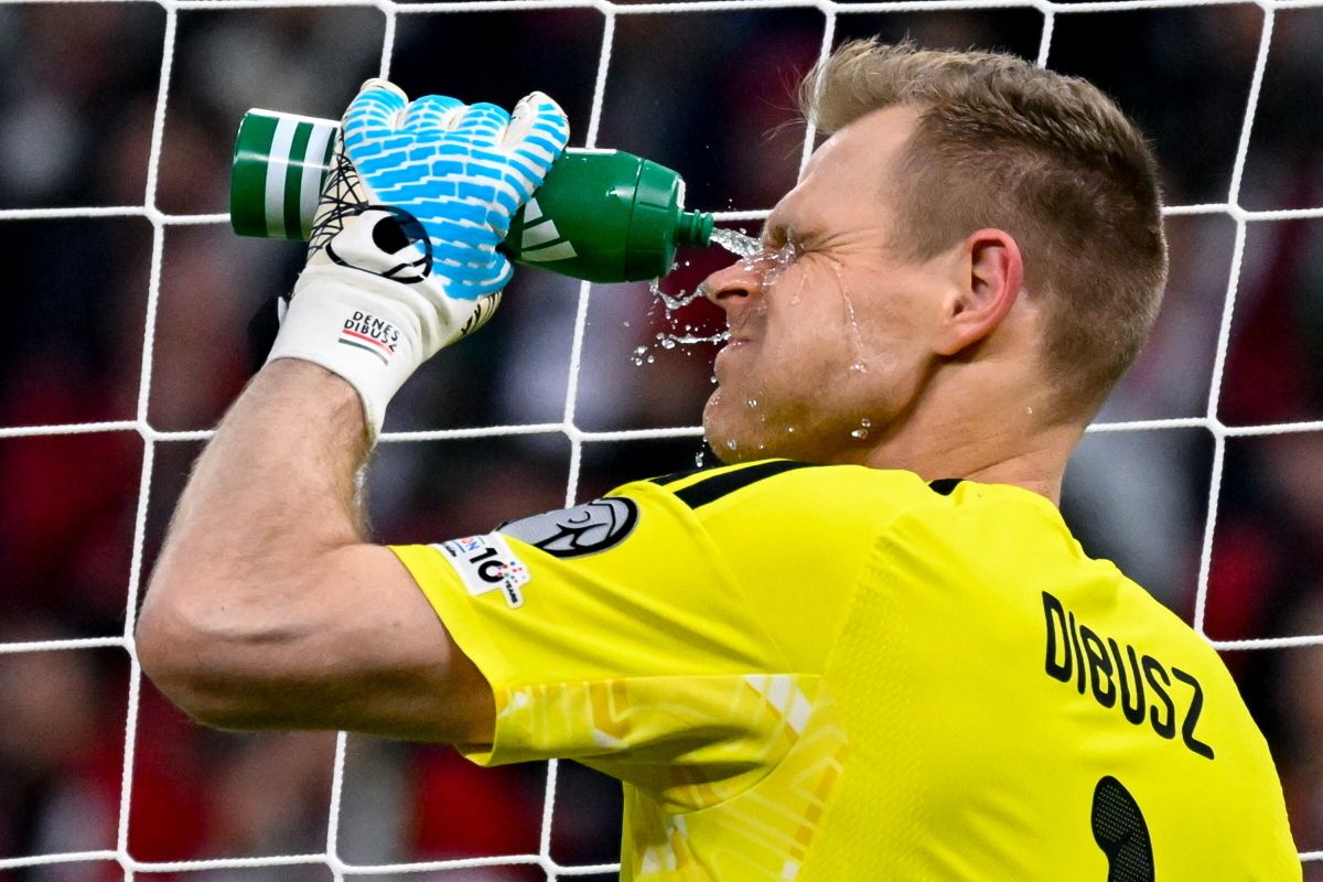 DIBUSZ Dénes Magyarország