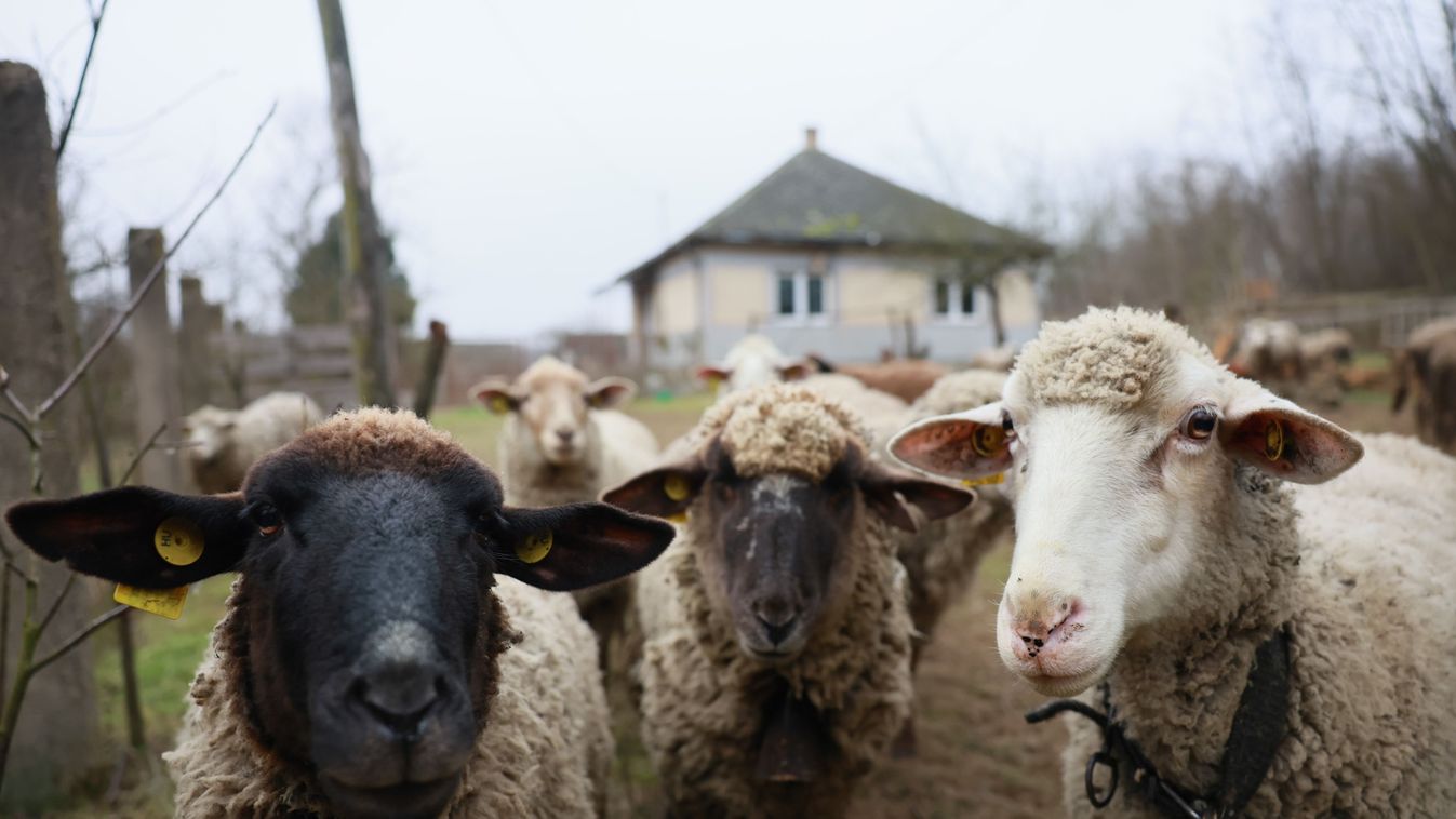 Fordul-e a&nbsp;helyzet?