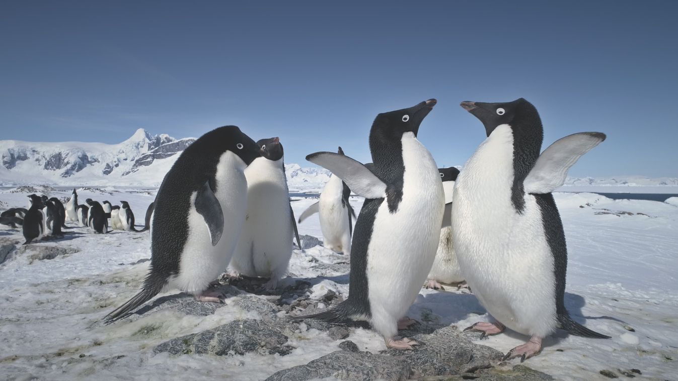 A természet romantikája