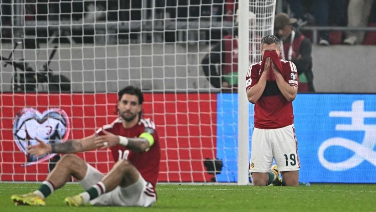 Még egy következménye lett az Írország elleni vereségnek – Csányi Sándor ilyet többet nem akar látni