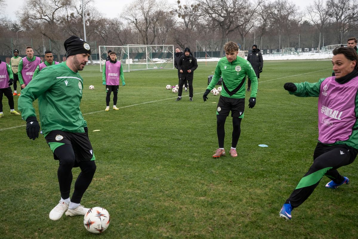 BOTKA Endre; LEVI, Jonathan