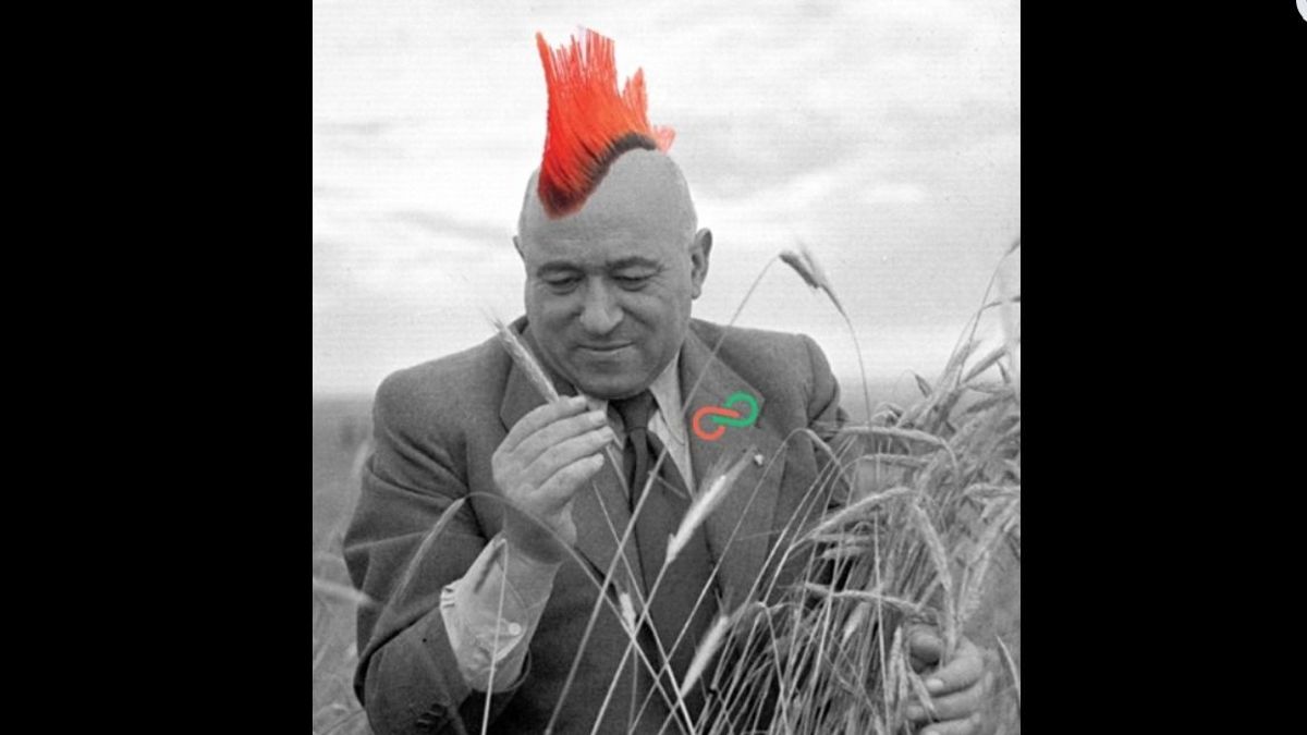 Nem is propaganda, hanem egy megható, vagány, ám mégis valósághű alkotás