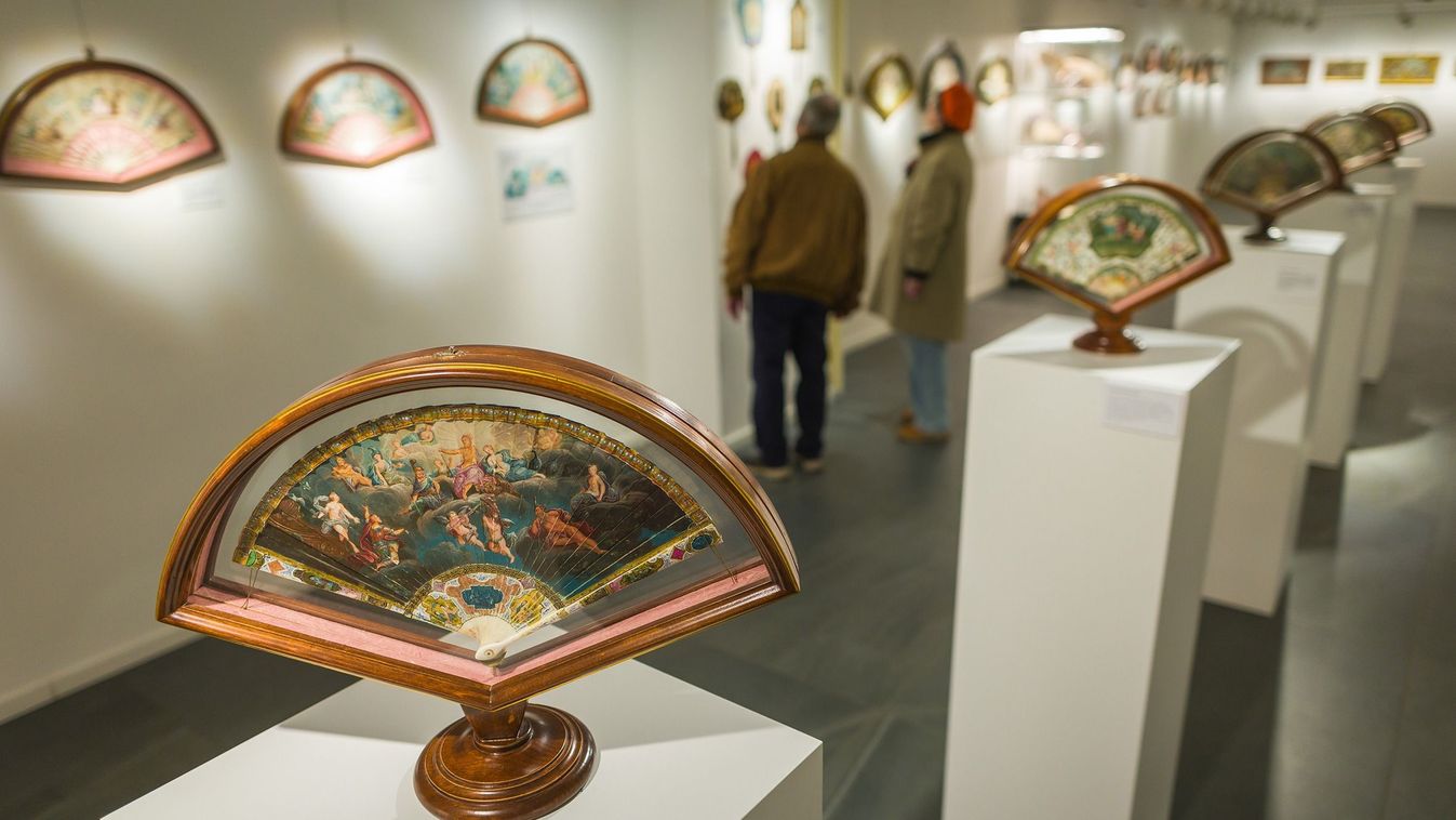 Hölgyek titkos nyelve