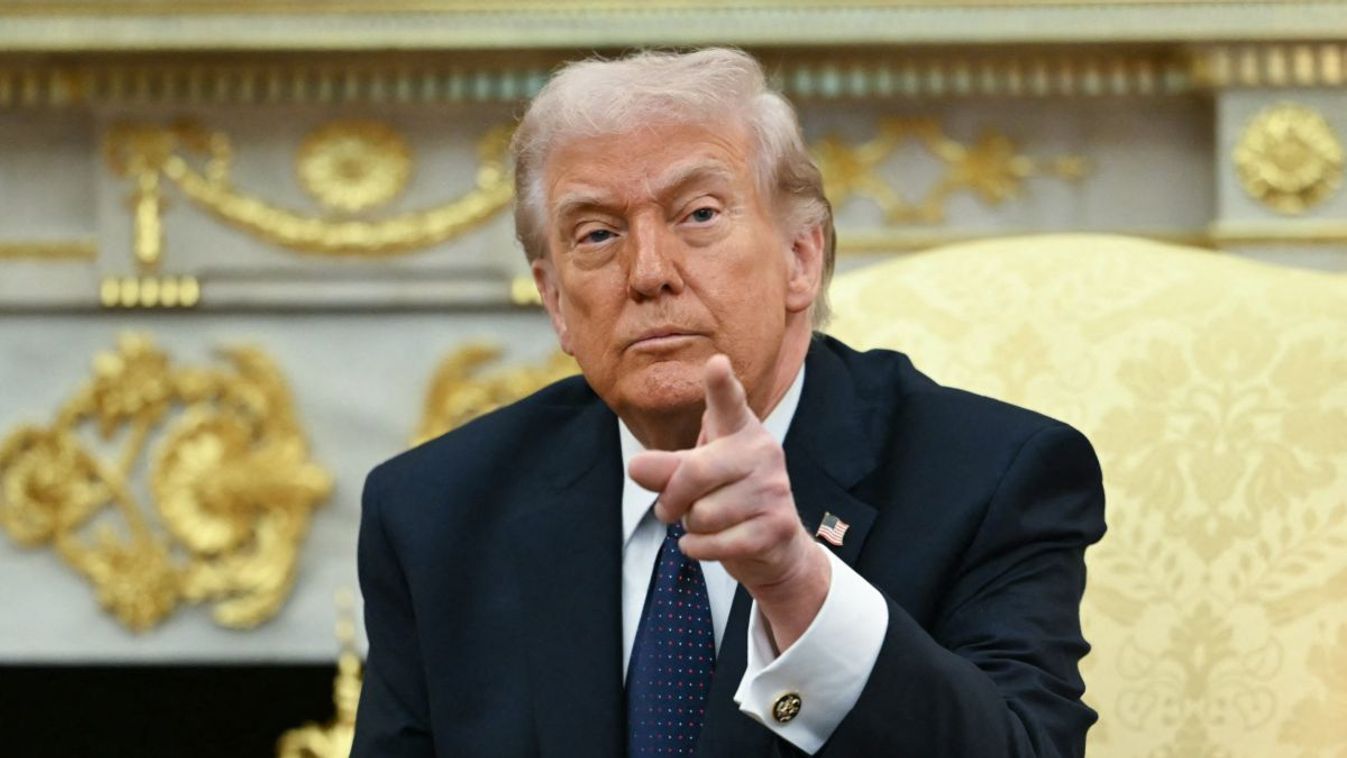 Donald Trump (Andrew Caballero-Reynolds / AFP)