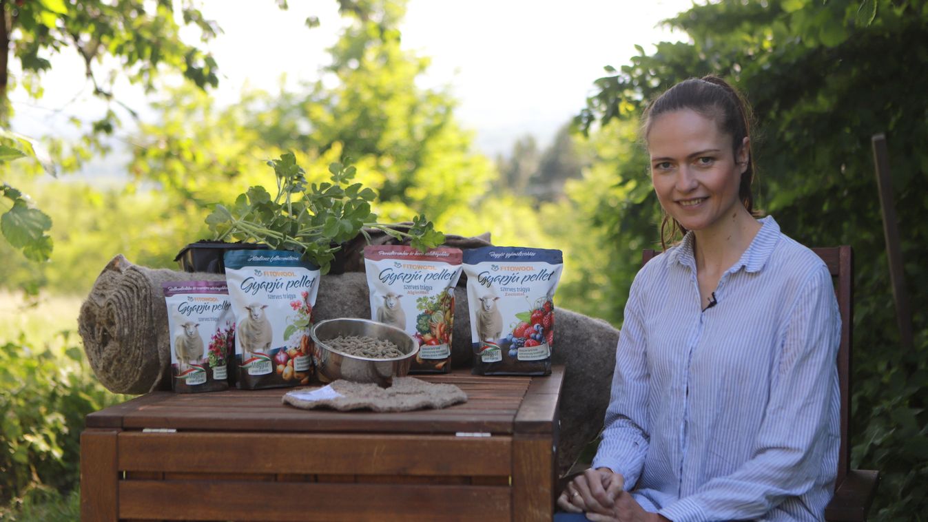 Gyapjú a földbe ásva