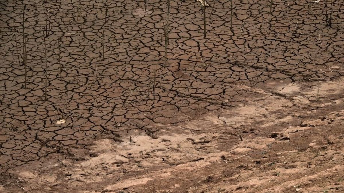 Riasztó adatok: kritikus szintre nőtt a vízhiány Magyarországon