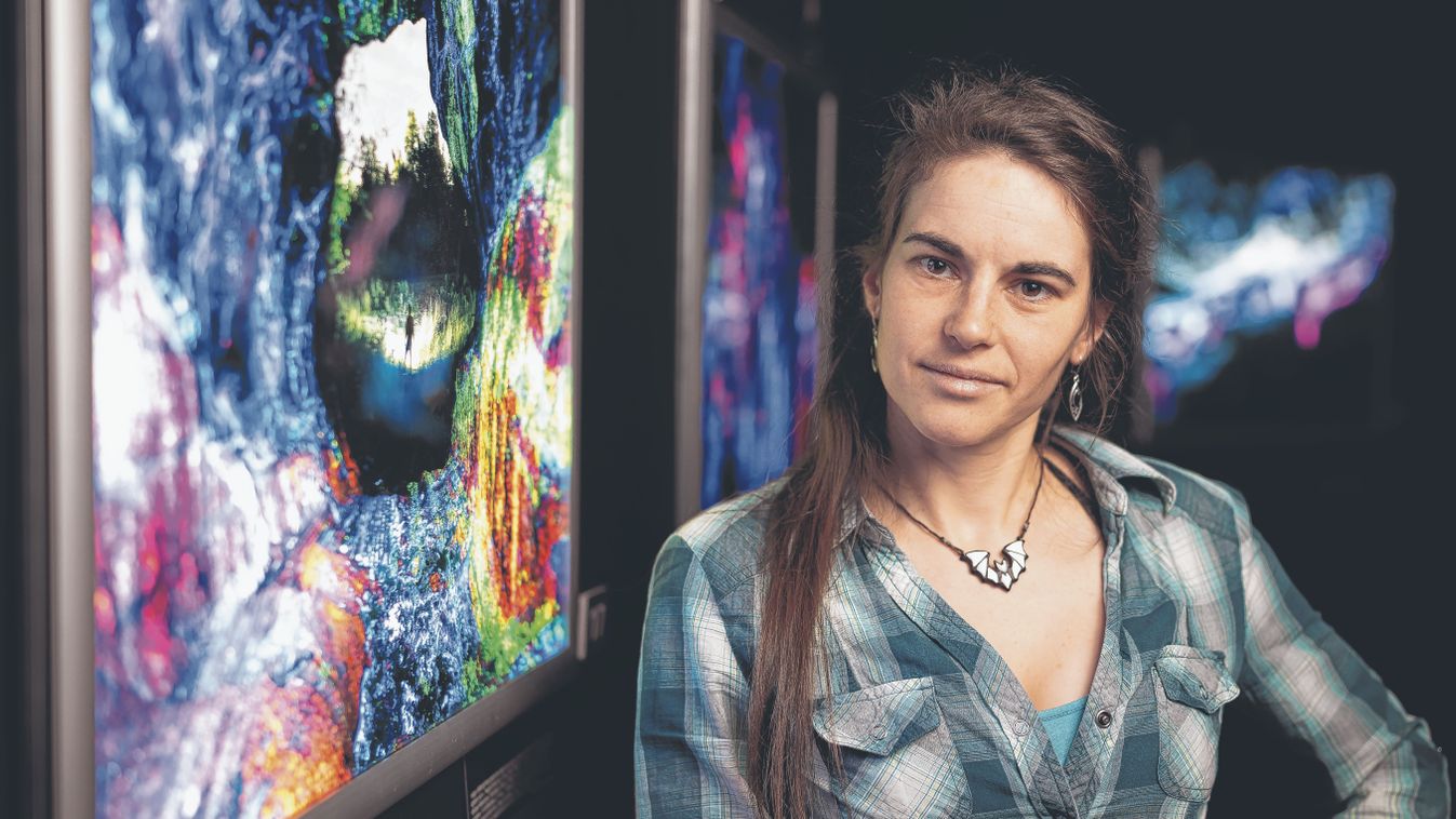 Járd a magad útját!&nbsp;