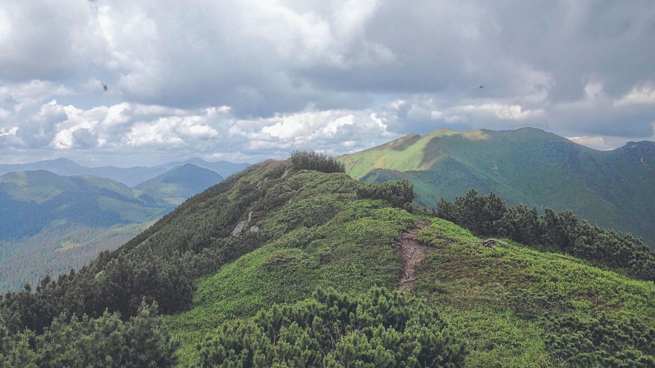 Kárpátalja zöldjében