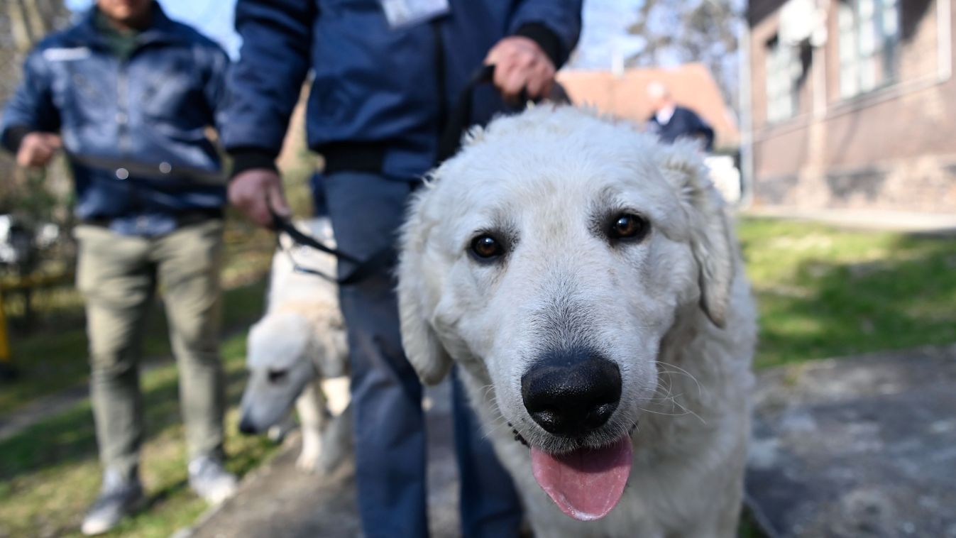 ​Biztonságos az ország