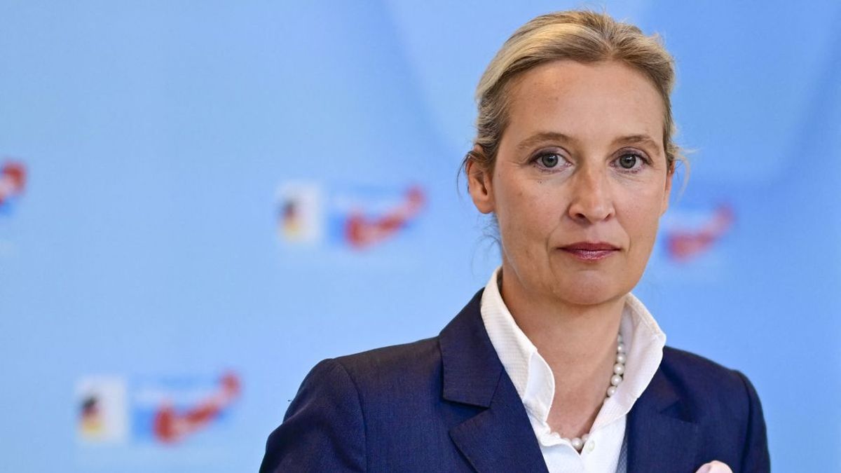 Alice Weidel szerint a német kormány hamarabb megbukik, mint hogy lejárna a mandátuma