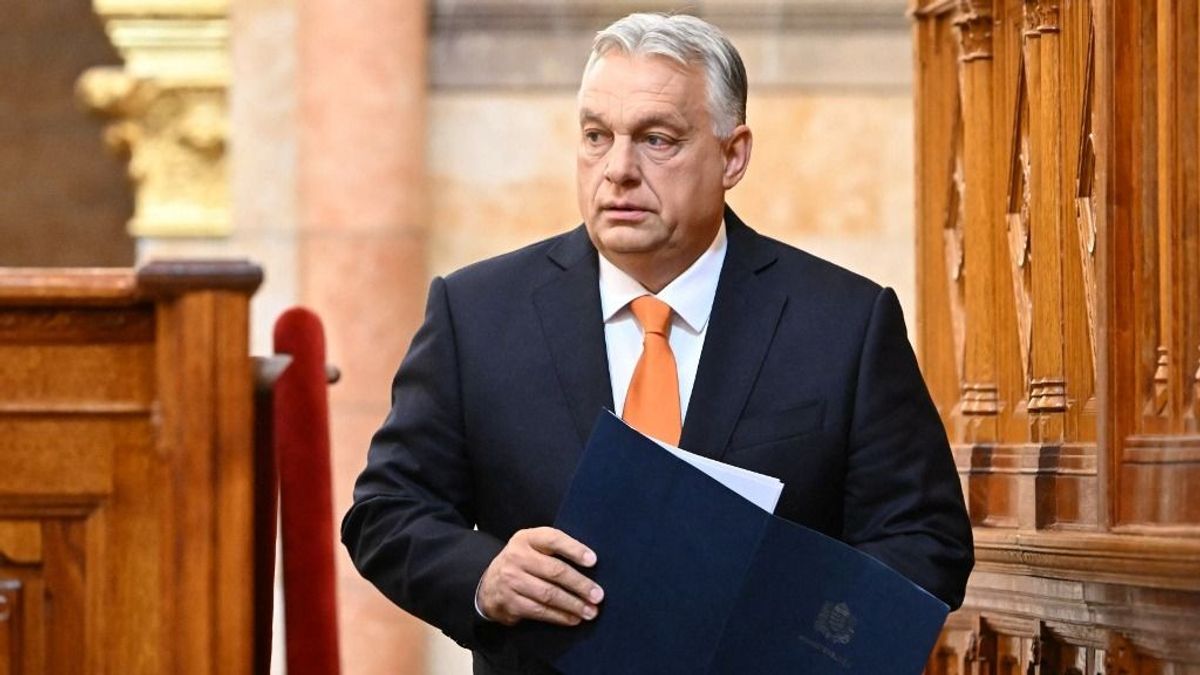 Tanuljon minden halandó ebből!