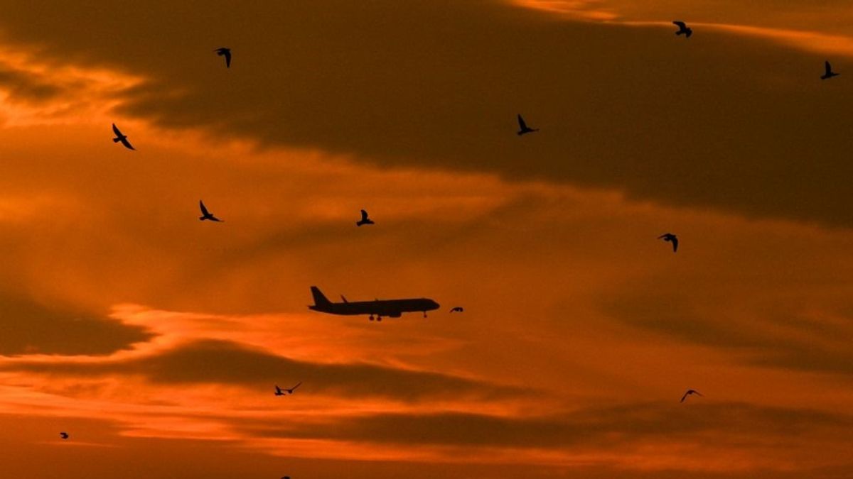 Hatalmas a baj, a németek is beismerték: nem lesz üzemanyag