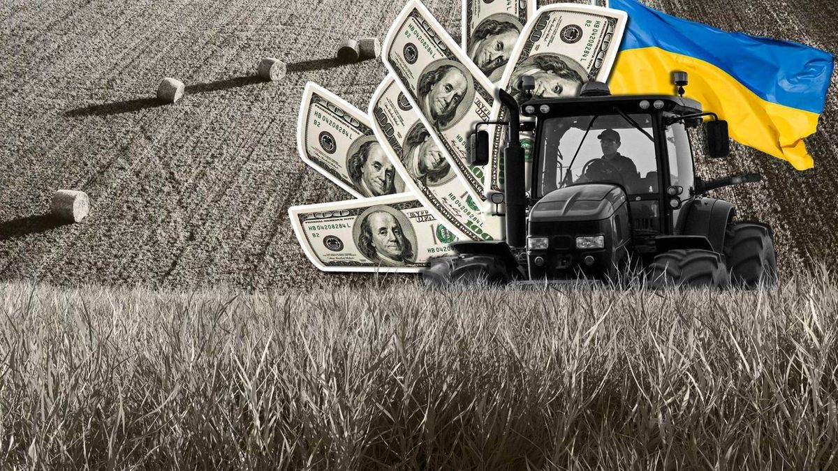 Az elaknásított mezőknek és a támadásoknak is ellenáll Ukrajna mezőgazdasága – az ukrán cégek sürgetik az EU-csatlakozást