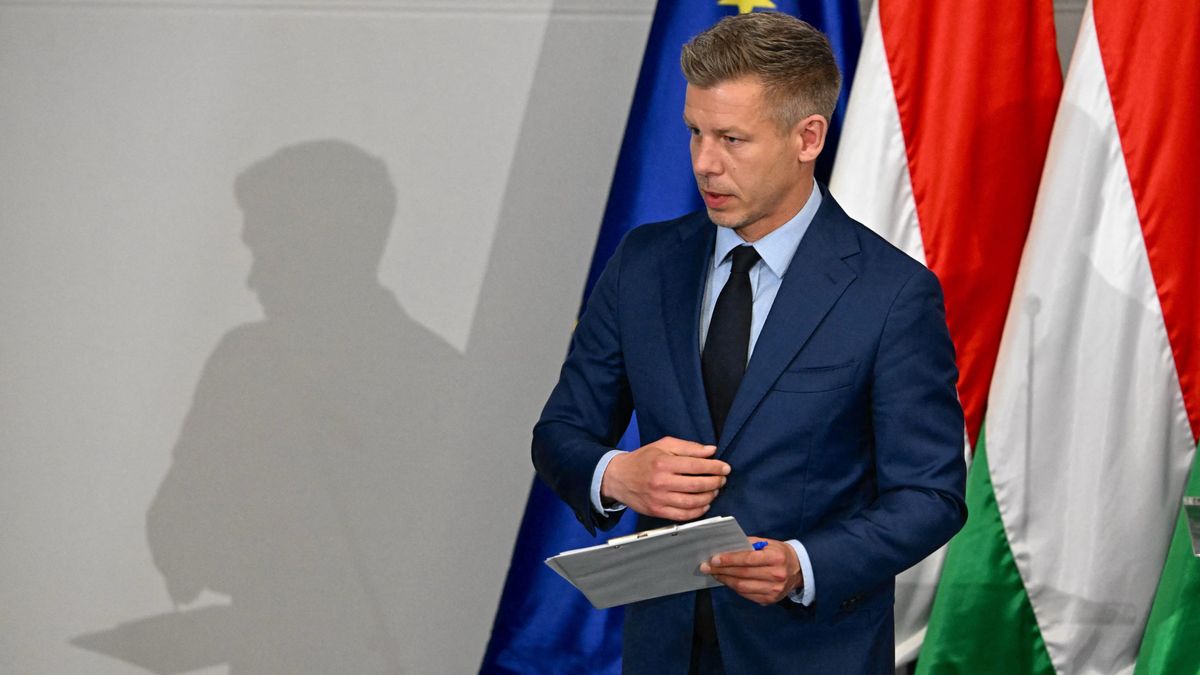 Súlyos belső feszültségeket okozhat Magyar Péter kormányának összetétele