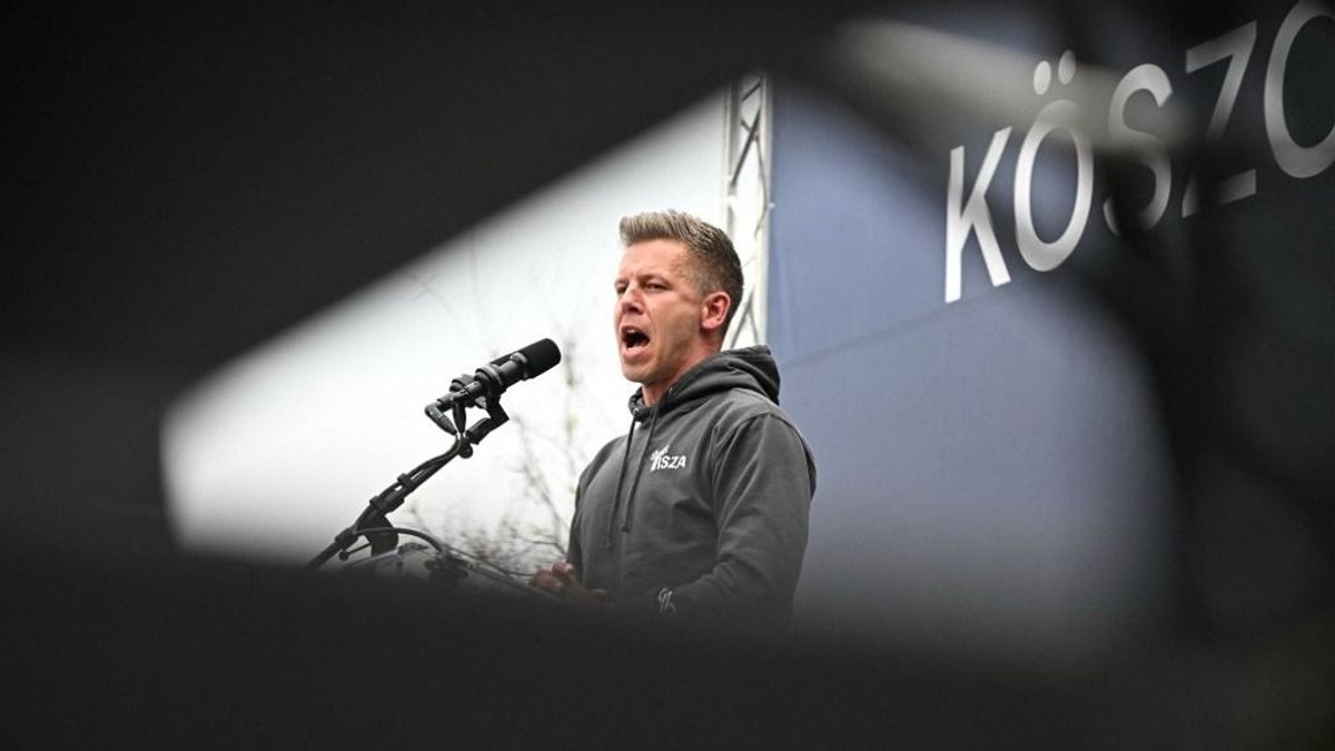 Felbukkant egy weboldal, amin Magyar Péter összes eddigi hazugsága szerepel – törheti a fejét, hogy fogja mindet kimagyarázni