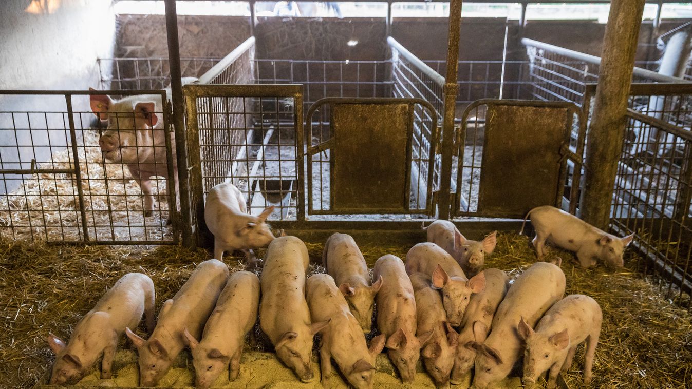 Agrárárak: tavaszi ébredés jele látszik