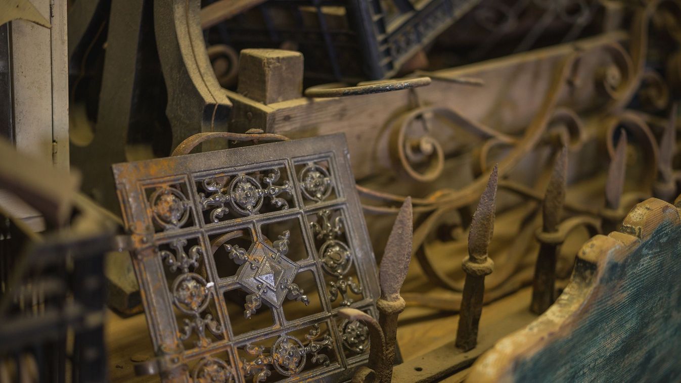 Érett deszkák bűvöletében