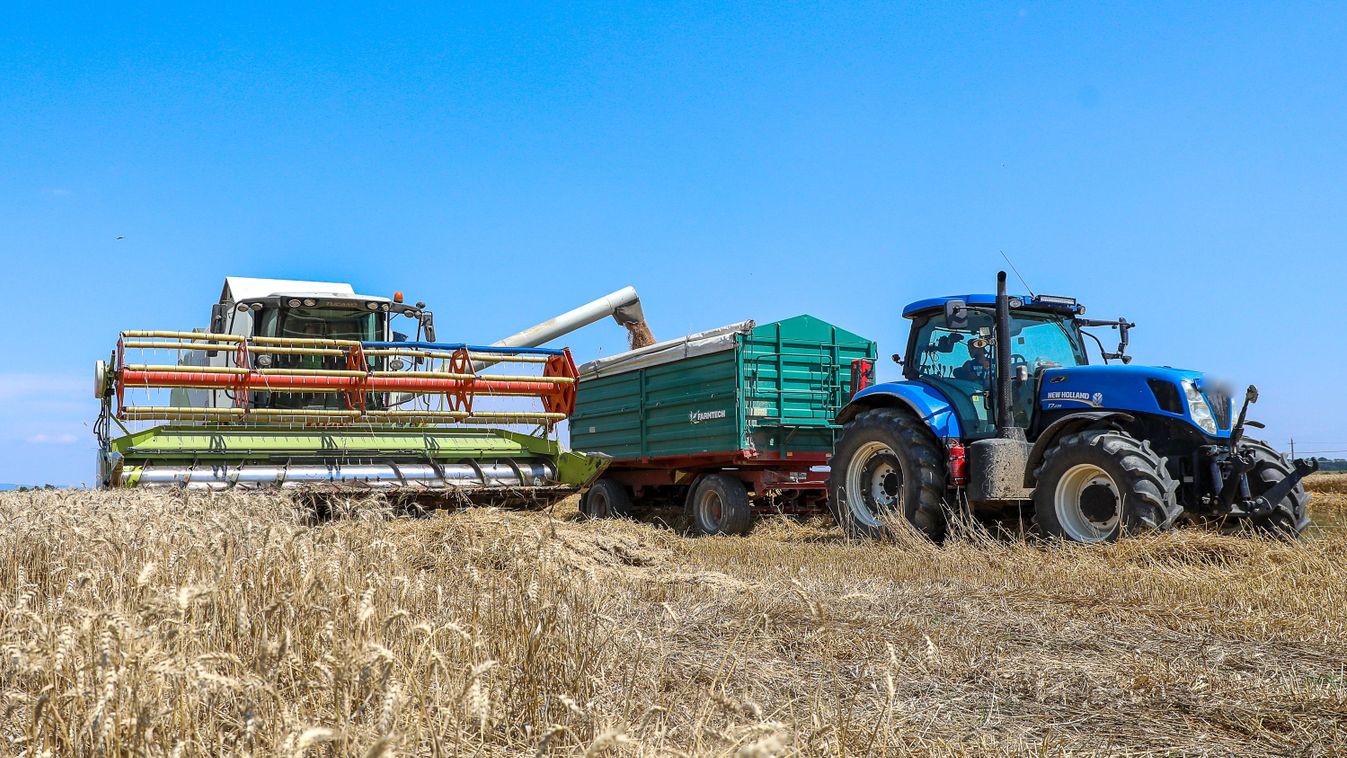 Tele még a&nbsp;magtár