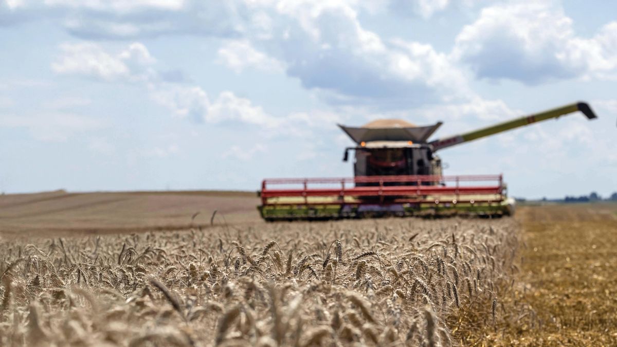 Figyelem: a gazdák Brüsszel újabb árulására készülhetnek – amihez a Tisza Párt asszisztál