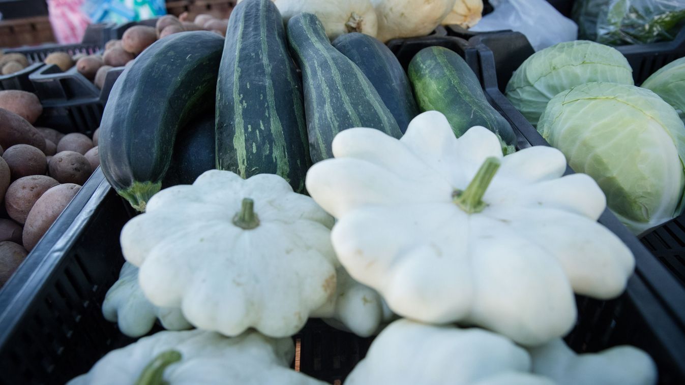 Lassan jöhetnek a&nbsp;tökök