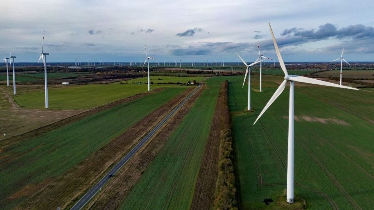 A tomboló háborúk és energiaárak közepette a németek még mindig a klímasemlegességben látják a megoldást