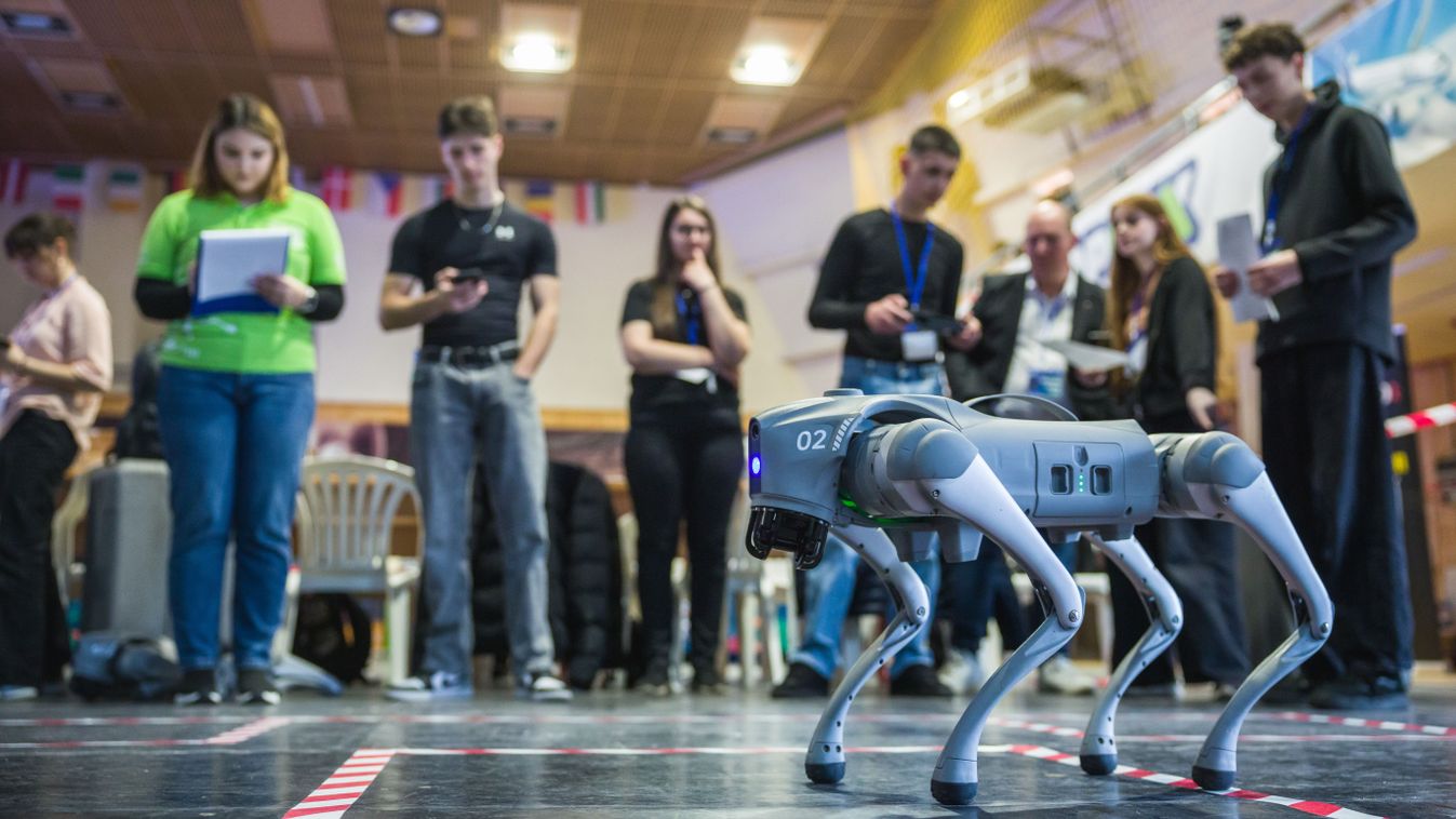 Vigyázat, a&nbsp;kutya nem harap!