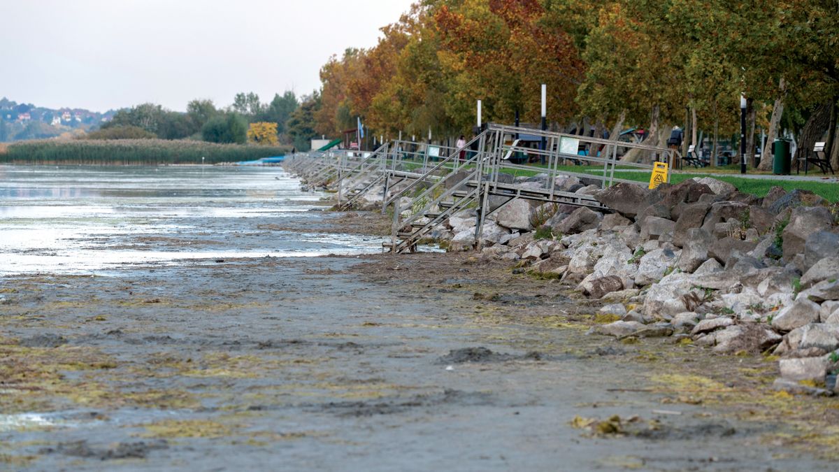 Üzenet a győzteseknek