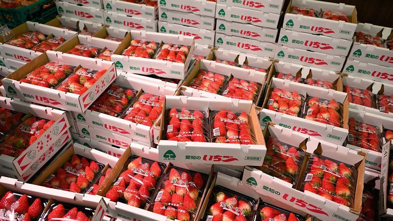 Rossz hírek az eperszezonról, ezt várhatjuk idén