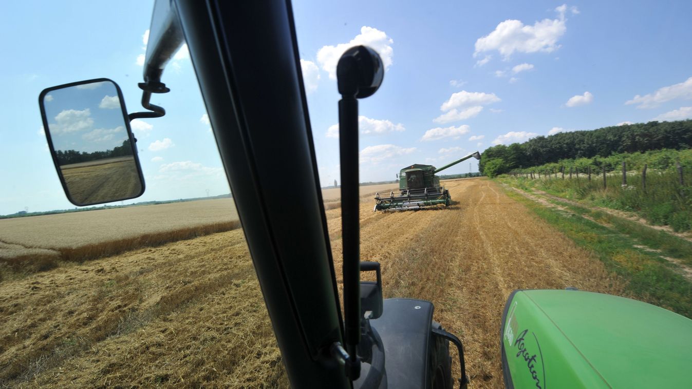 Várakozás aratásig