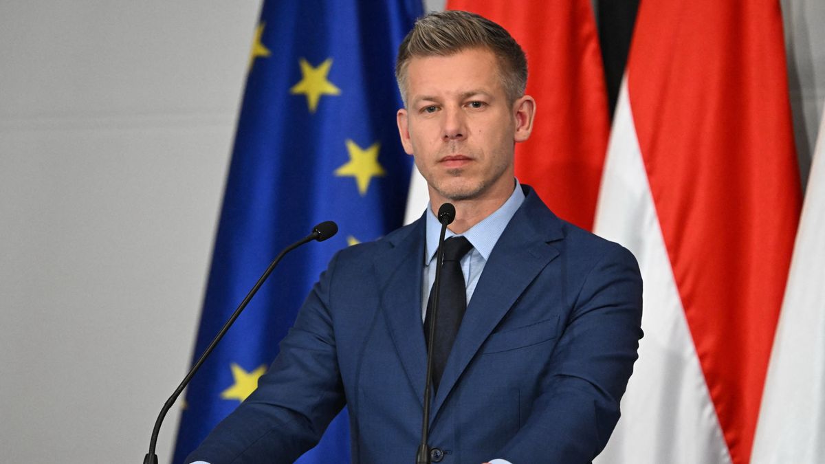 A jogtudós szerint Magyar Péter esküképtelen – váratlan javaslat került Sulyok Tamás asztalára