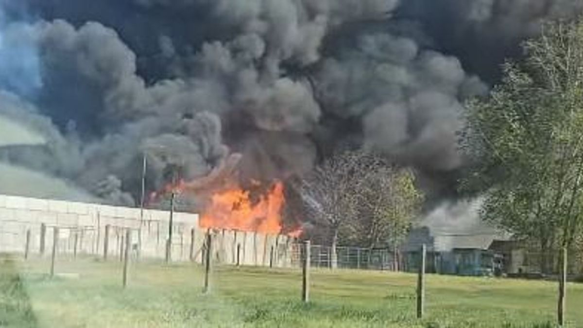 Drámai képsorok: így lángol a szemét Kecskemétnél (VIDEÓ)