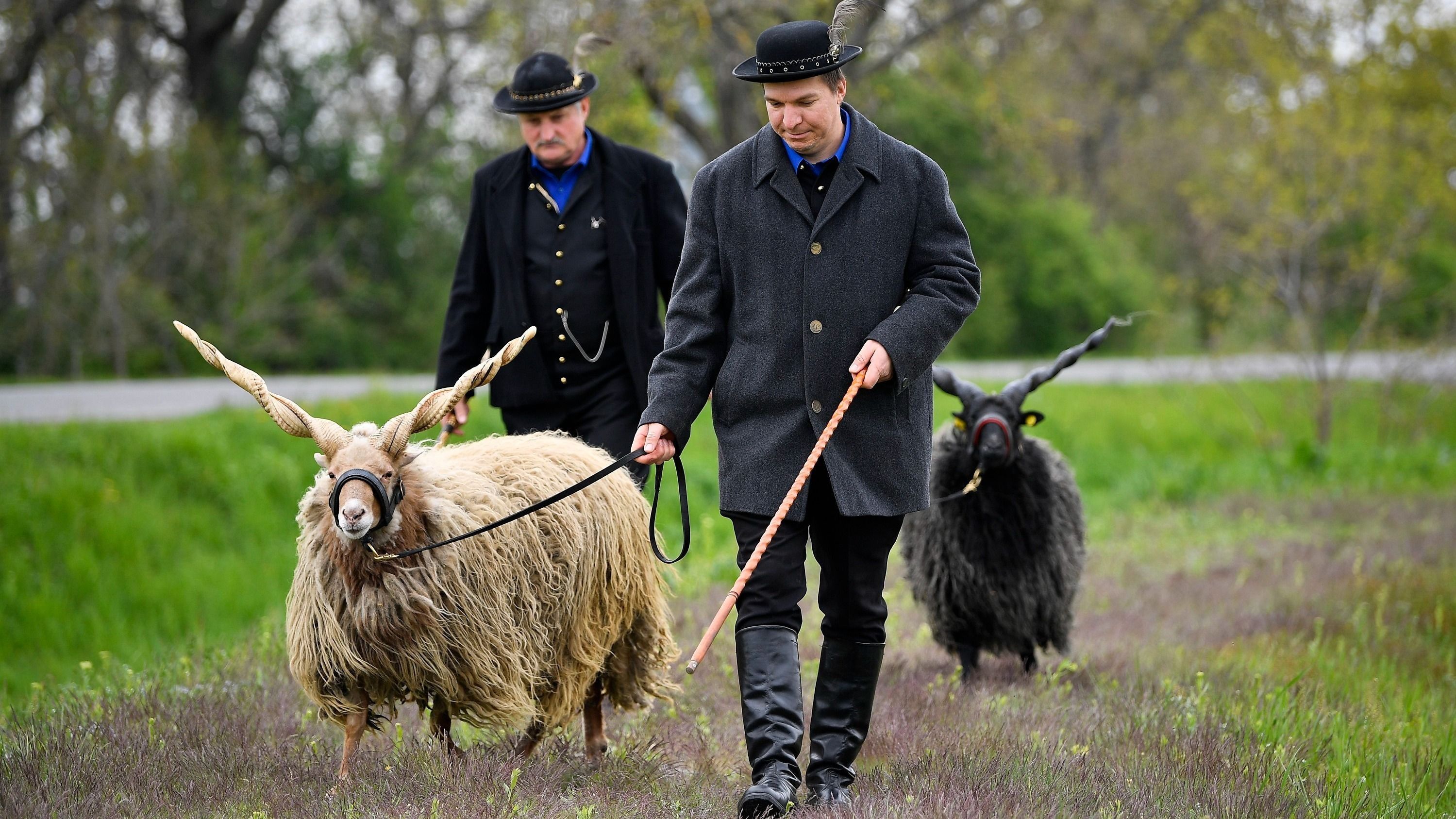 Fedezze fel a pásztorok világát a Néprajzi Múzeumban!