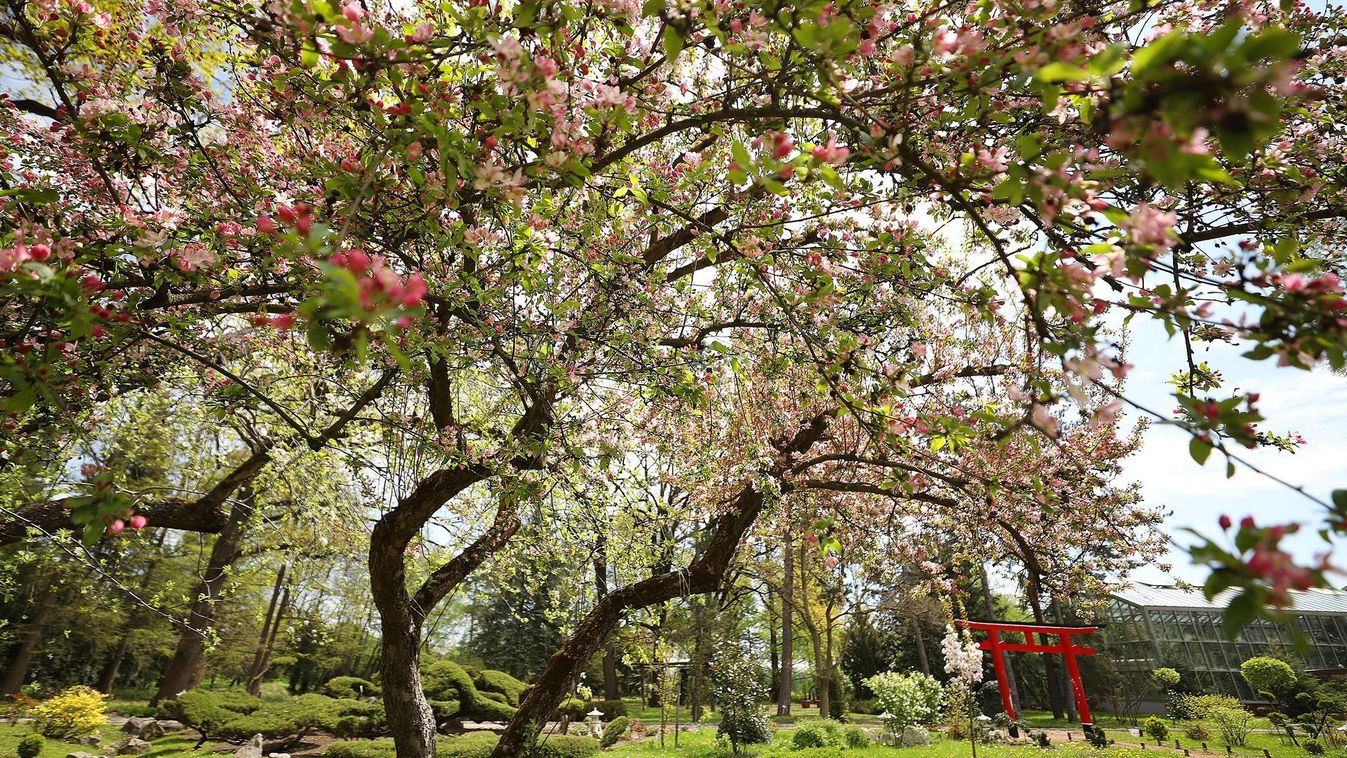 Kérdéses a&nbsp;fagykár