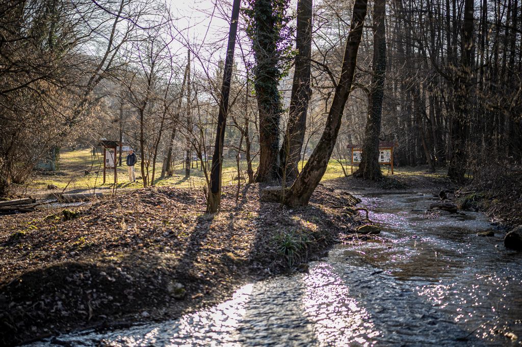 20260306  Miskolc Szeleta park tanösvény riport a turisztikai újdonságokról és fellendülésről Fotó: Kállai Márton KM