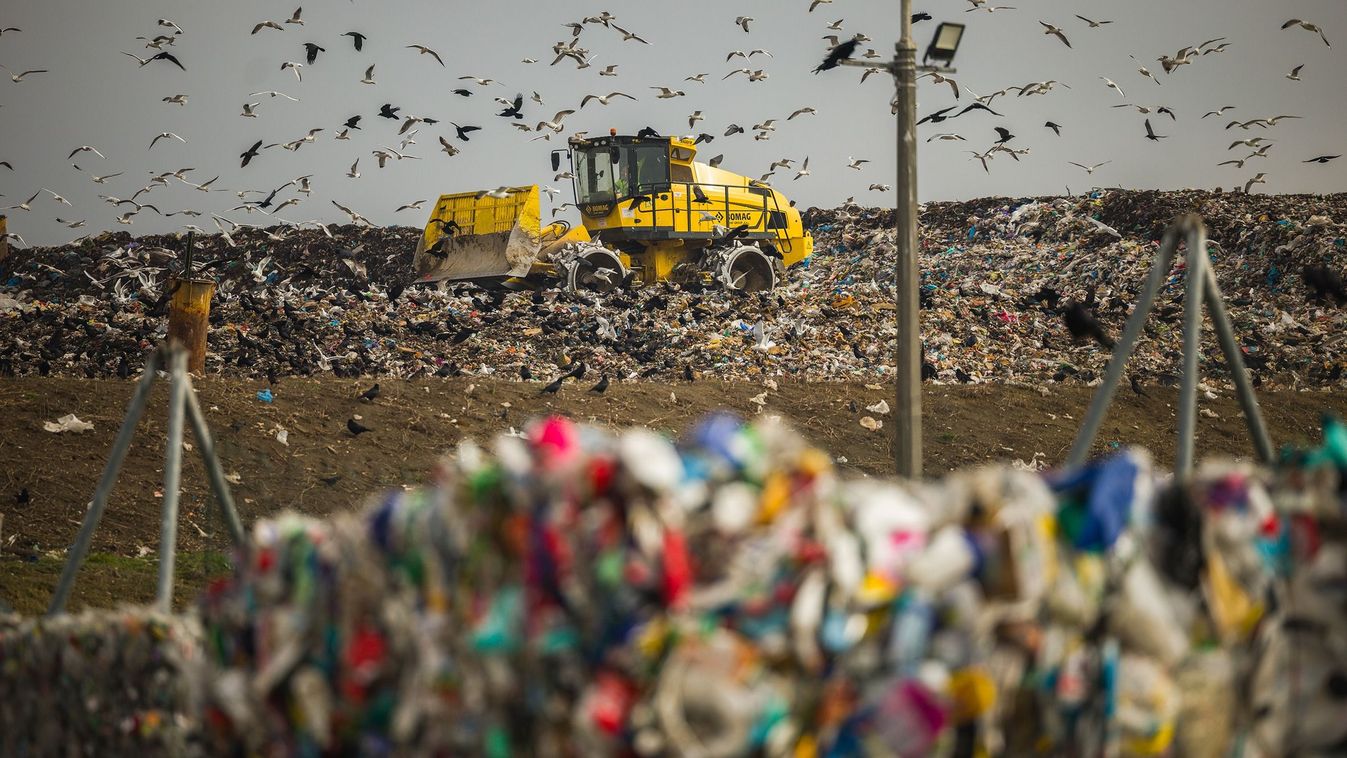 Hajnalban indulnak a&nbsp;kukások