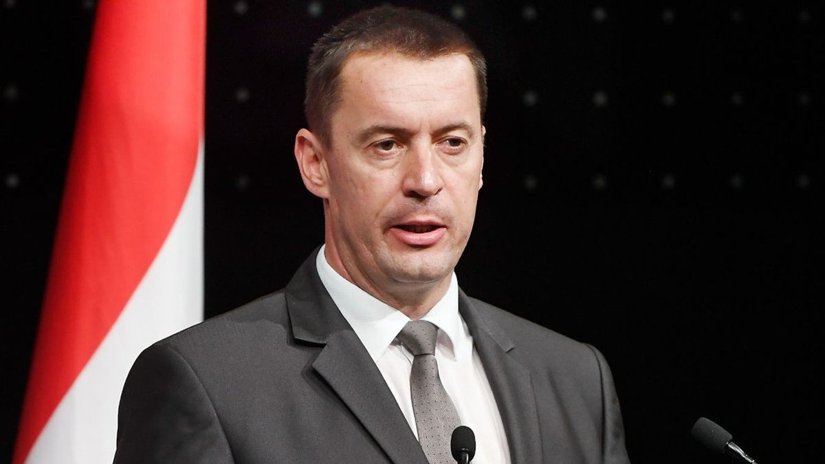 Újabb nemzeti radikális buzdít a Fidesz-jelöltek támogatására (VIDEÓ)