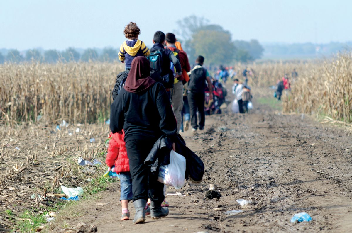 2015.10.18,Sid,,Croatia,And,Serbia,Border:,Refugees,Walking,Through,The