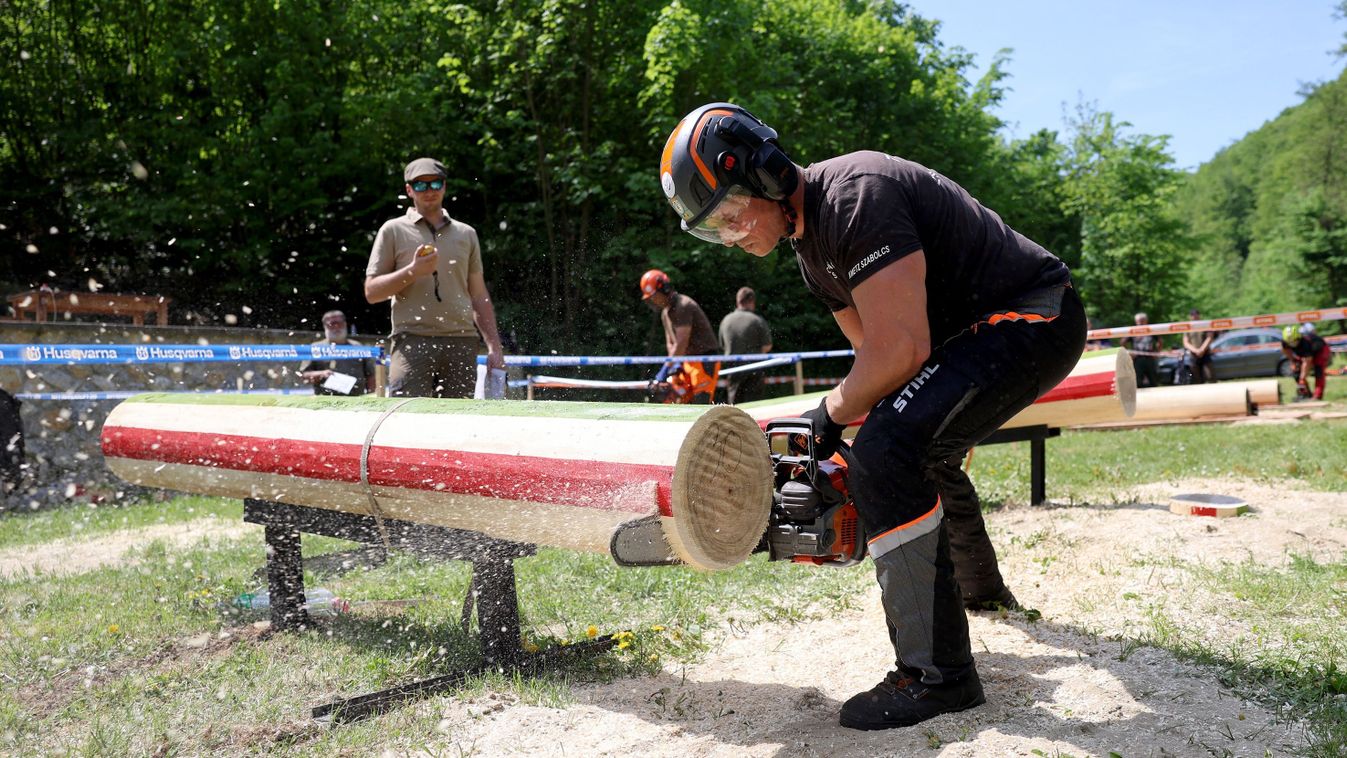 Húzós ügy a&nbsp;favágás