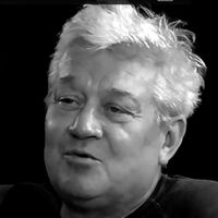 Vágvölgyi B. András