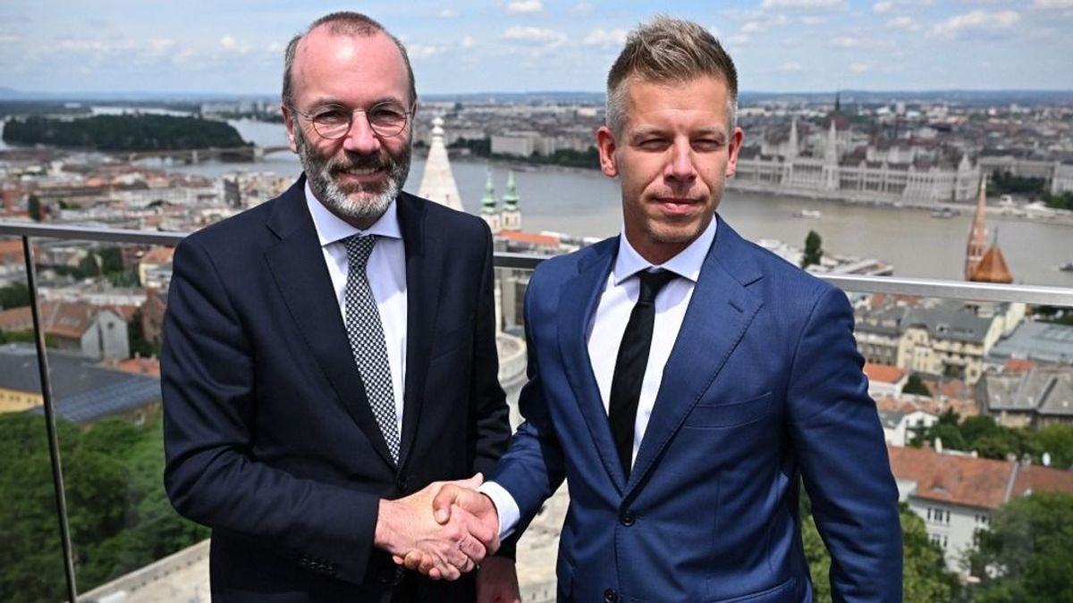 „Magyarország visszatért Európa szívébe” – Manfred Weber is odáig van Magyar Péter győzelméért