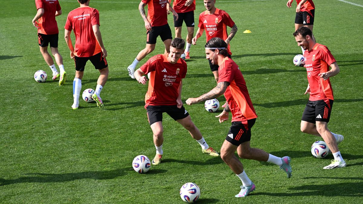 „Majdnem ugyanúgy kerestem, mint a Honvédban” – Magyarország tiszta Amerika ebből a szempontból