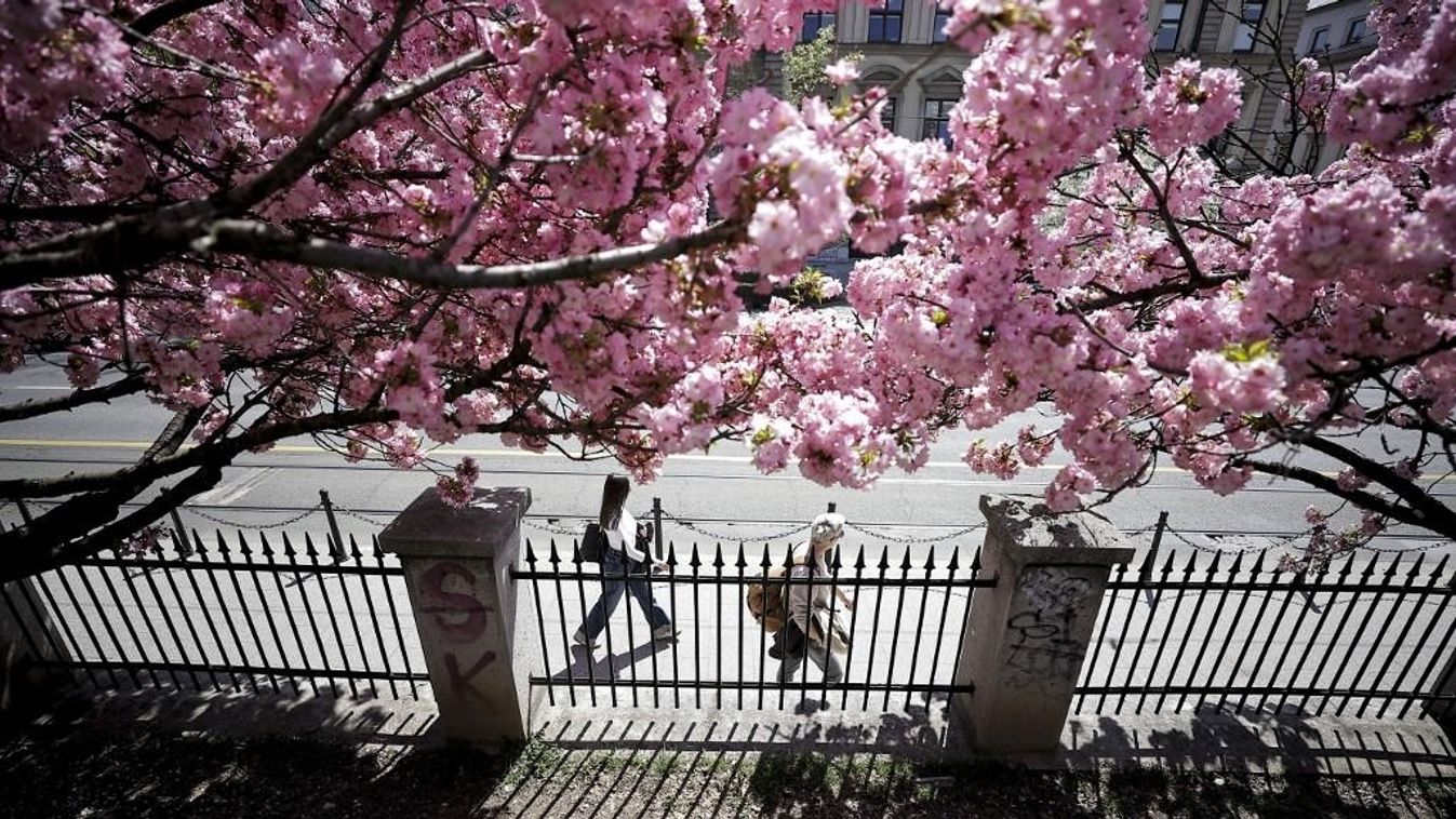 Európában rekordközeli volt a márciusi meleg