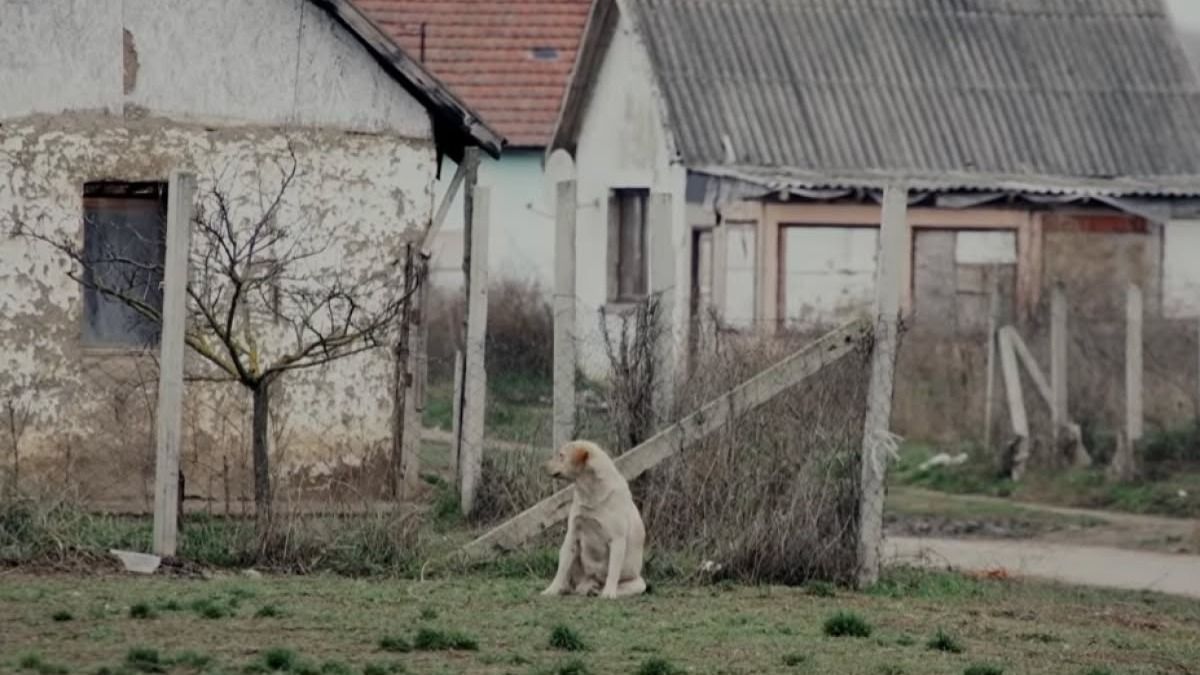 Közeledik a húsvét