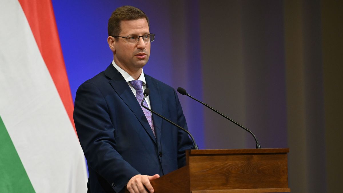 Gulyás Gergely kimondta: kizárják a közéletből a pedofilbotrányba keveredett tiszás jelöltet, ha nem tisztázza magát