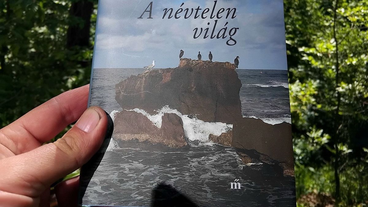 Megnyitni a tengeri napot