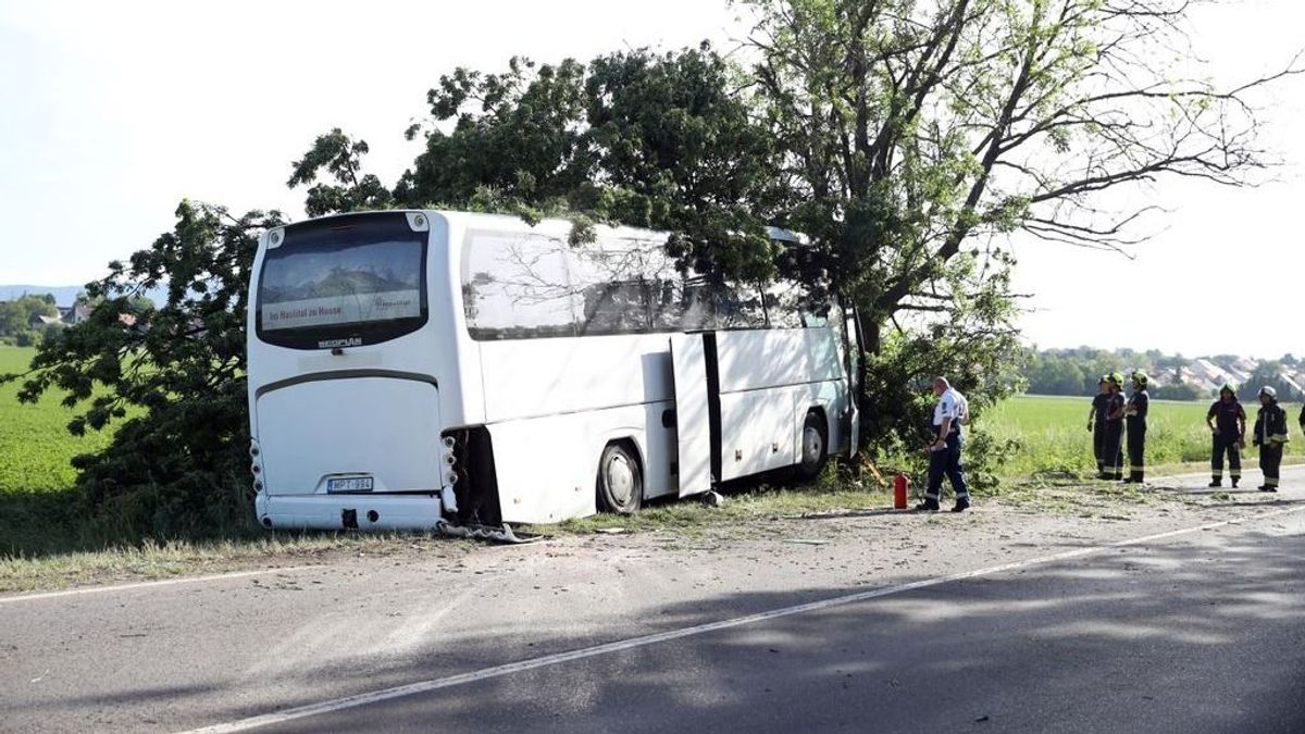 Drámai buszbaleset Pécs mellett: a sofőr elhunyt, 25 gyermek volt a járművön