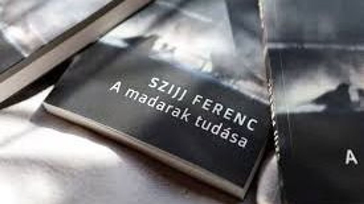 Kvantumi beszéd