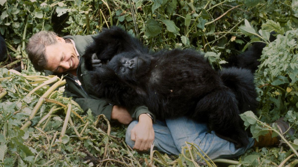 Százéves lett David Attenborough, így búcsúzik a közönségétől