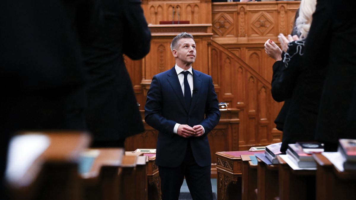 Csak tárlatvezetés lesz, vagy kormányzás is?